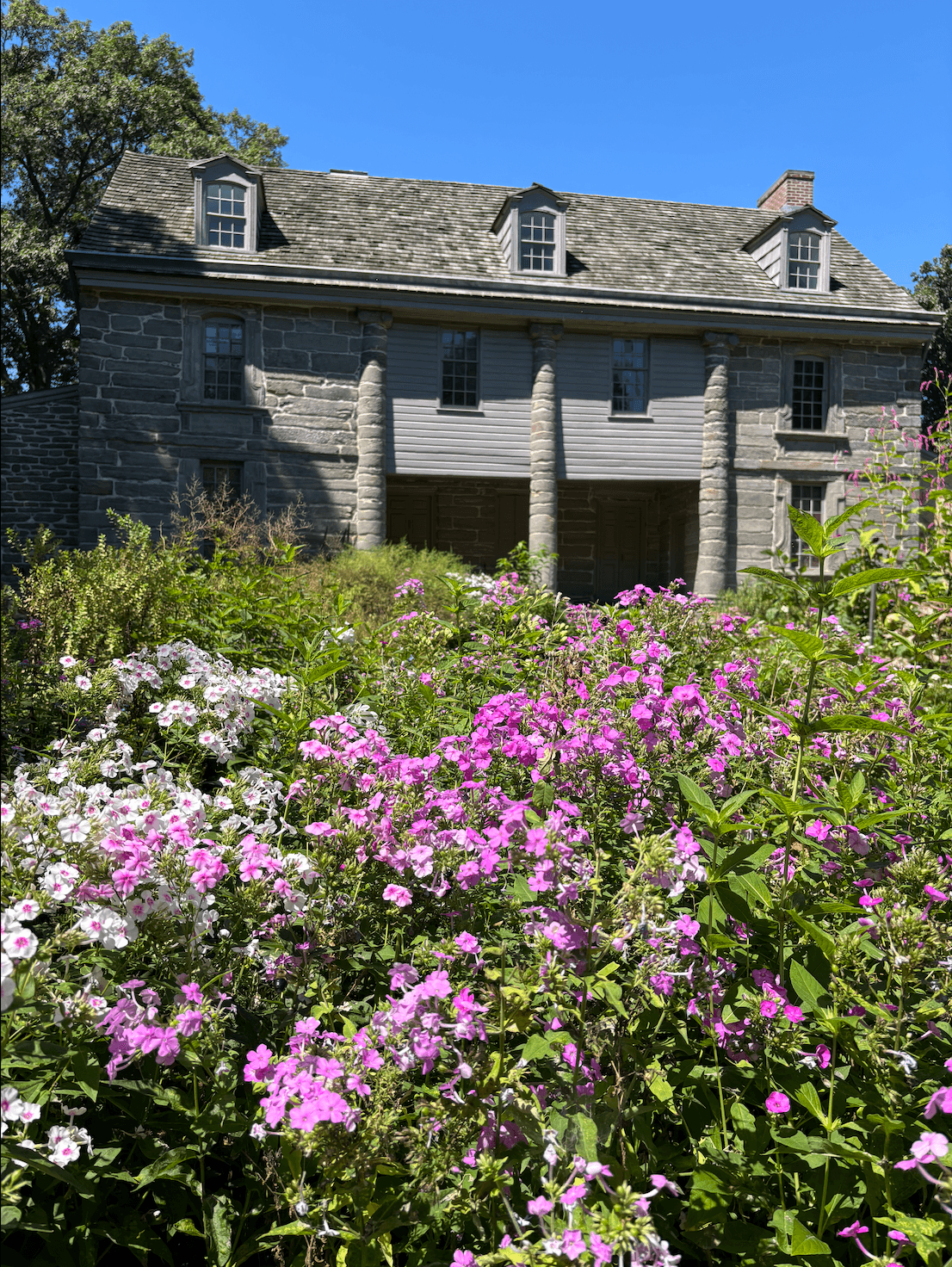 Featured image for Discovering Bartram's Garden